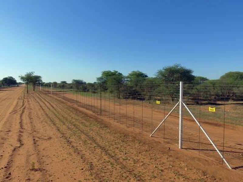 A view of a dirt road running alongside a fenced farm perimeter with clear wire mesh fencing and metal support posts.