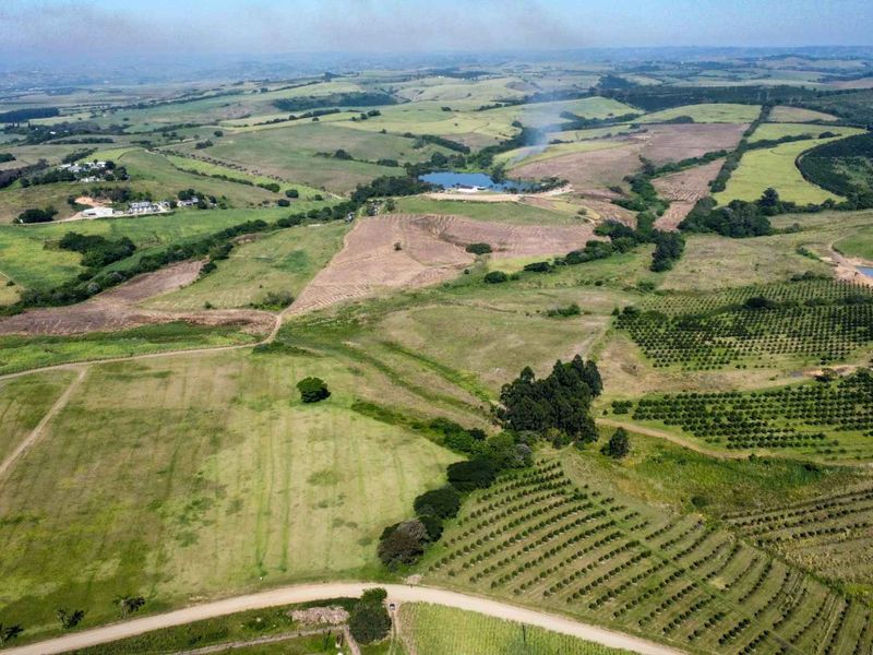 An expansive aerial view of the farm property, featuring large open grazing fields, established orchards, a private dam, and surrounding rural landscape.