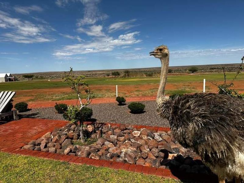 FARMING - HUNTING & TOURIST LODGE FOR SALE - Photo 10