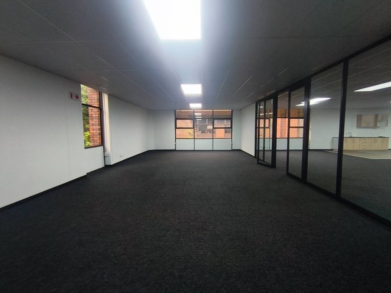 Spacious, empty office area featuring dark carpeting, suspended ceilings with recessed lighting, and modern glass partition walls providing a professional, open-plan workspace.