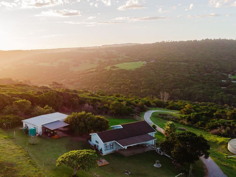 A Rare Lifestyle Escapes Minutes from town Country Living! - Photo 10