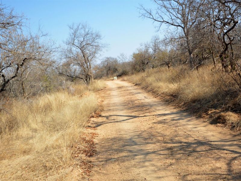 Vacant Land in MODITLO NATURE RESERVE - Photo 2