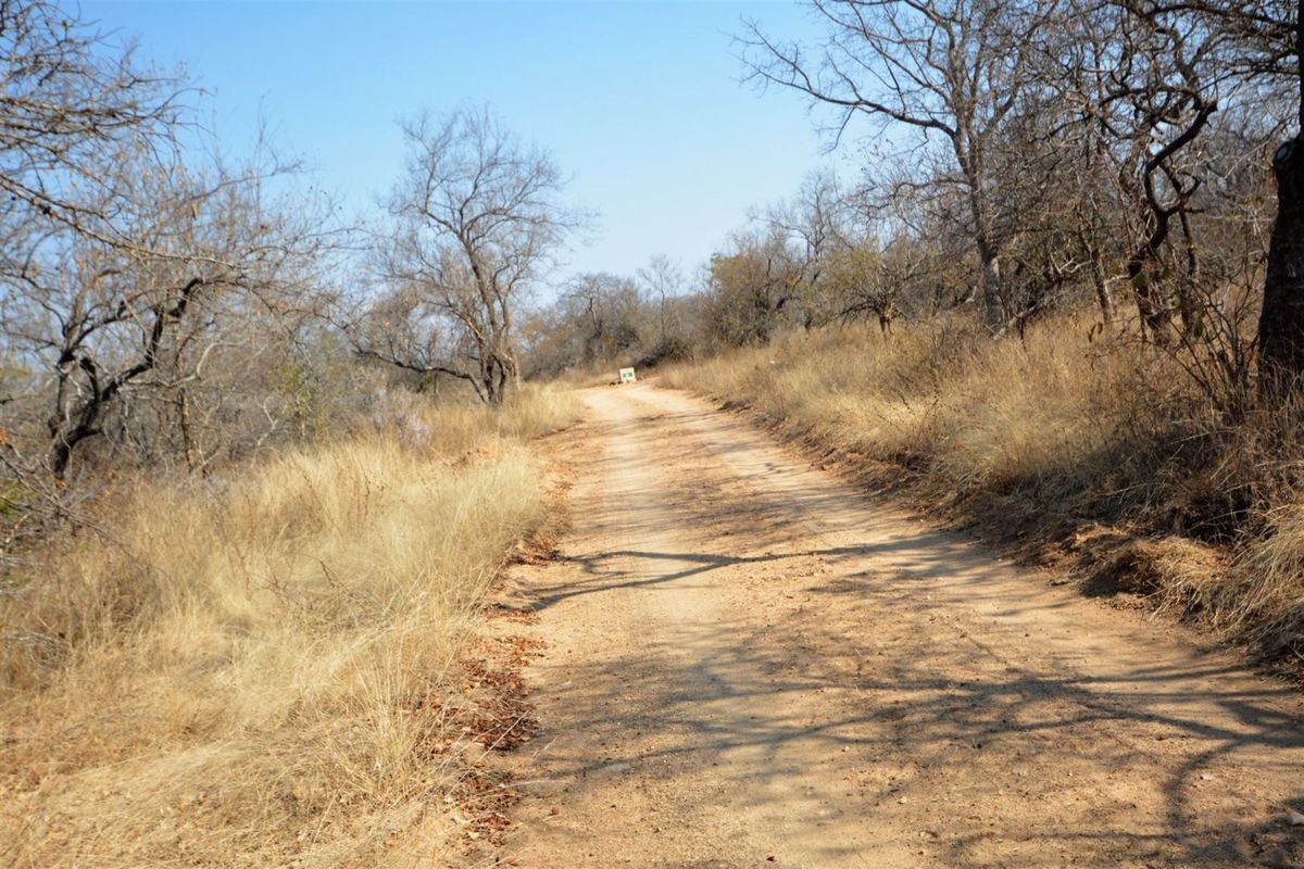 Vacant Land in MODITLO NATURE RESERVE - Photo 2