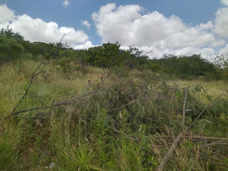 Stand for sale in Mabopane M - Photo 4