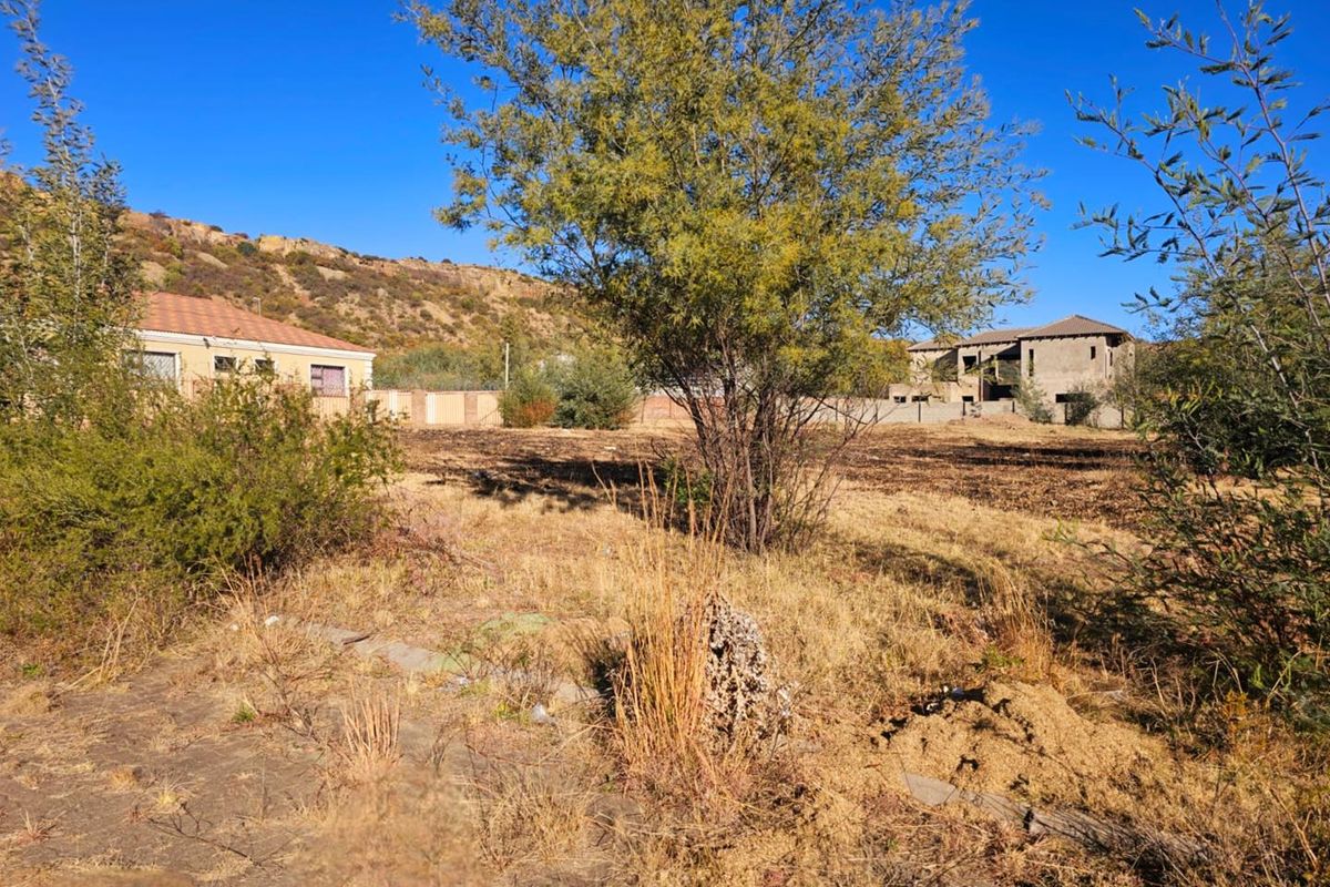 **Prime Vacant Land in New Development Area – Ladybrand** - Photo 3