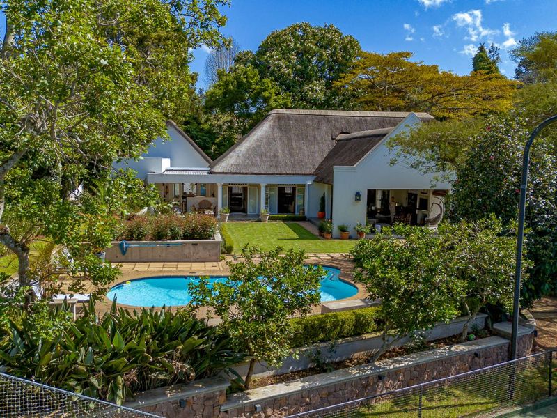 Aerial view of the rear property featuring a thatched roof house, swimming pool, paved patio area, and a well-maintained landscaped garden.
