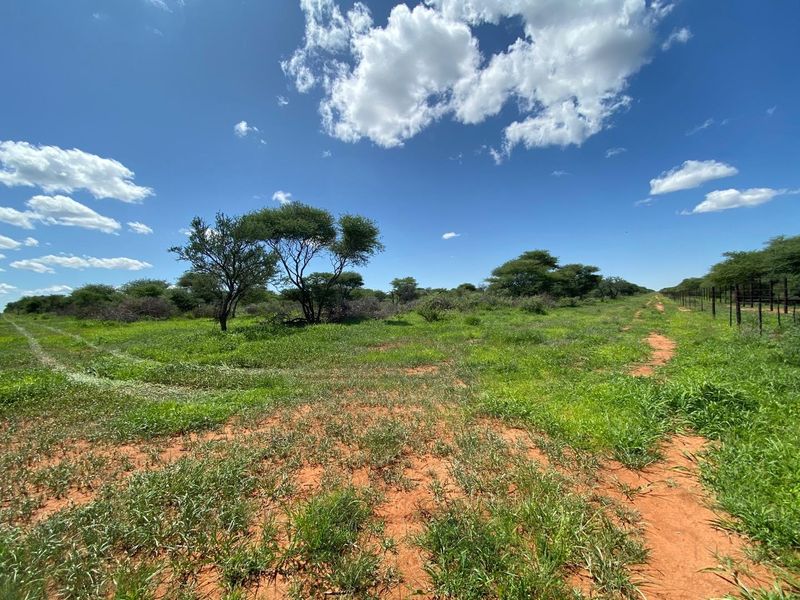 A Rare Opportunity to Own Your Dream Farmland! - Photo 5