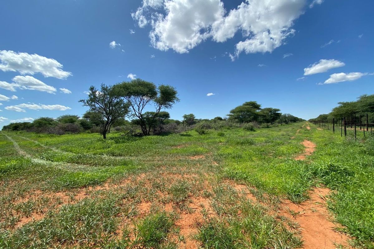 A Rare Opportunity to Own Your Dream Farmland! - Photo 5