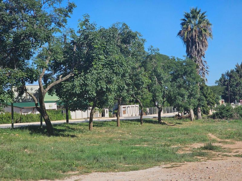 HUGE VACANT LAND - Photo 3