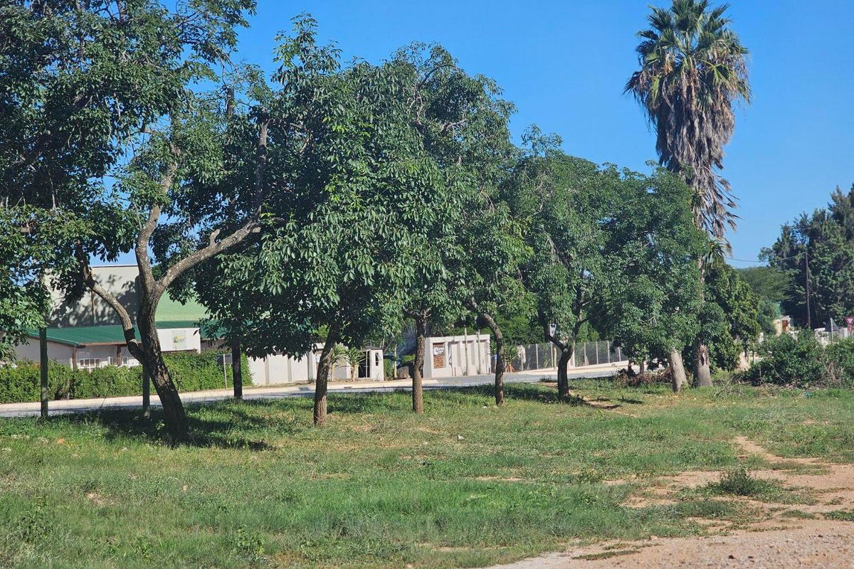 HUGE VACANT LAND - Photo 3