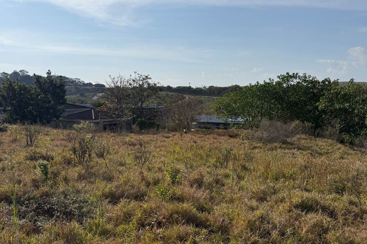 A view of an undeveloped residential plot featuring natural vegetation and surrounding neighborhood landscape.