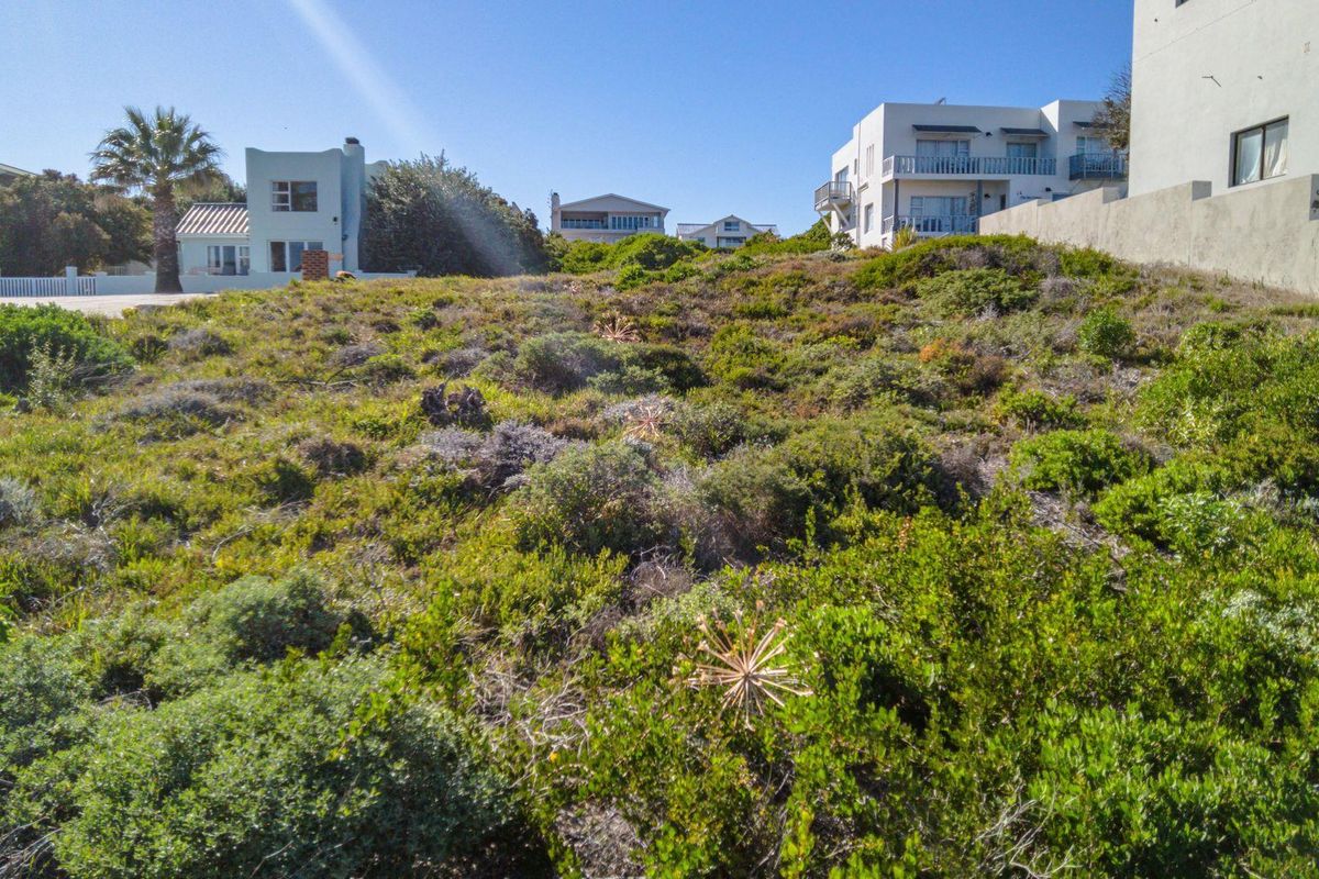 Sea Breezes and Serenity - Photo 5