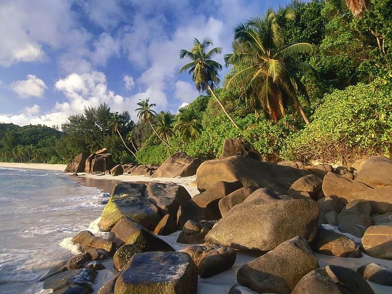 Exceptional Beachfront Development Land Mahe - Photo 3