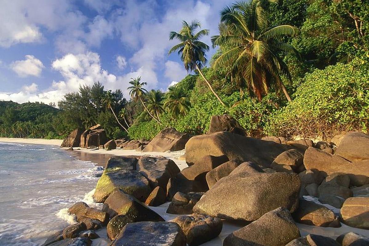 Exceptional Beachfront Development Land Mahe - Photo 3