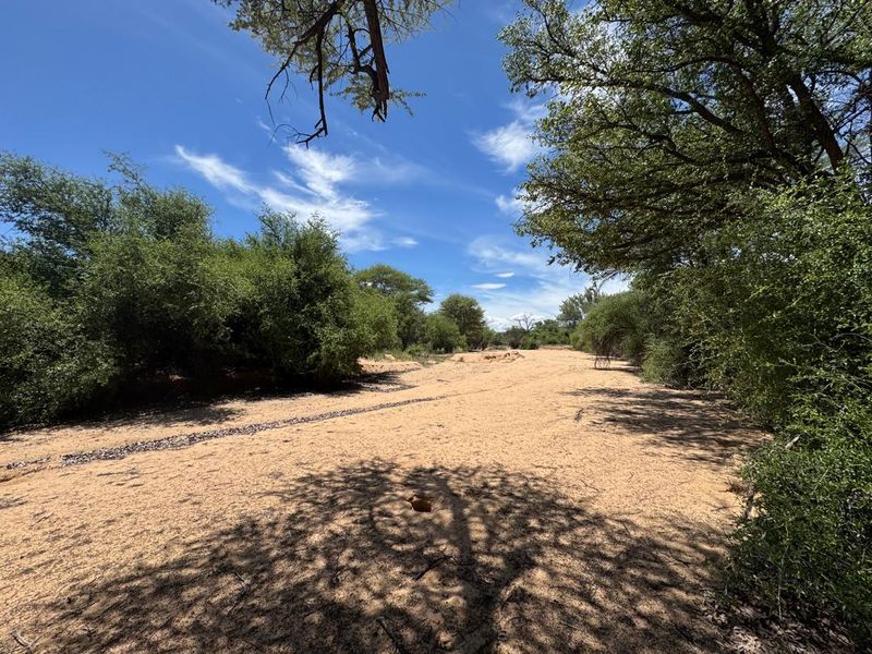 A scenic view of a dry sandy riverbed surrounded by native trees and natural vegetation on the farm property.