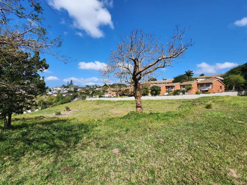 A view of a vacant residential plot featuring natural grass, mature trees, and a boundary wall with neighboring properties in the background.