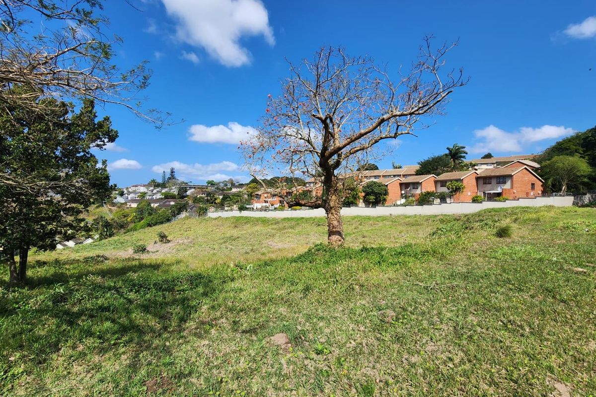A view of a vacant residential plot featuring natural grass, mature trees, and a boundary wall with neighboring properties in the background.