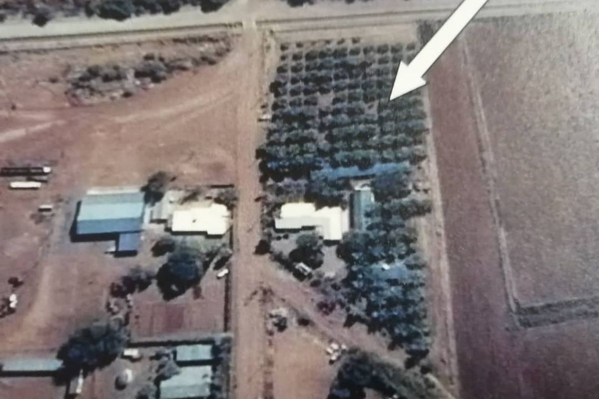 Aerial view of the small holding property, highlighting the main dwelling, outbuildings, and surrounding orchard or cultivated land.