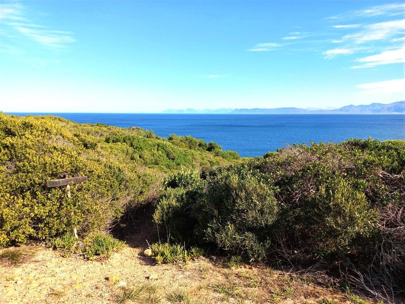 A scenic view of the ocean and distant mountains from the elevated, naturally vegetated residential land.