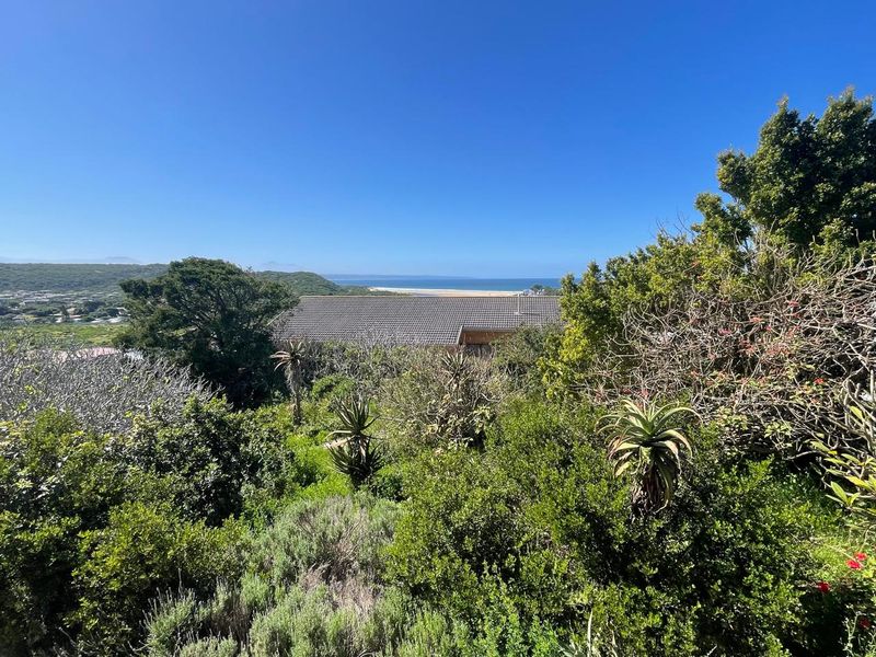 A scenic elevated view overlooking lush coastal vegetation with a distant ocean horizon and sandy beach.