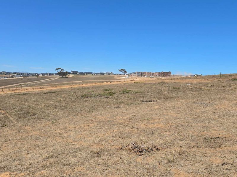 Exclusive Opportunity: Buy Directly from the Developer at Hartland Lifestyle Estate - Photo 3