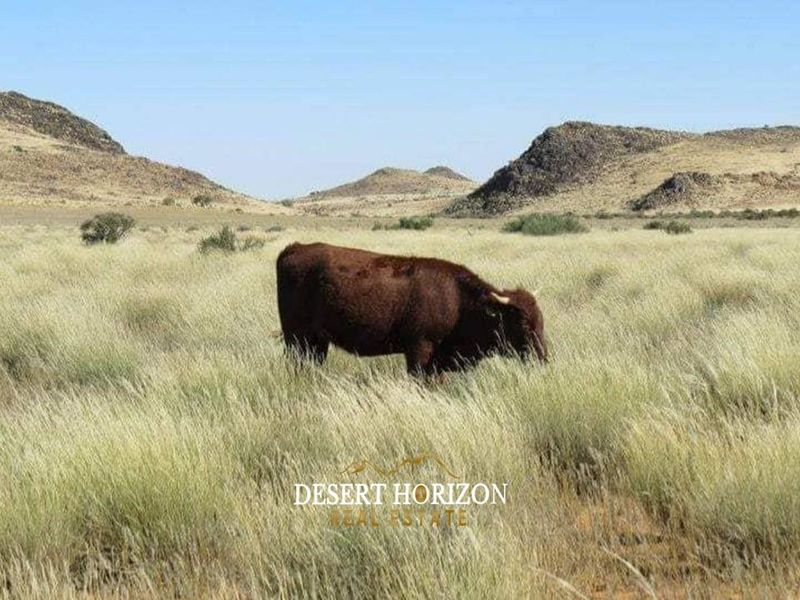 Karas Region, Noordoewer | South of Namibia , Farm for sale - Photo 5