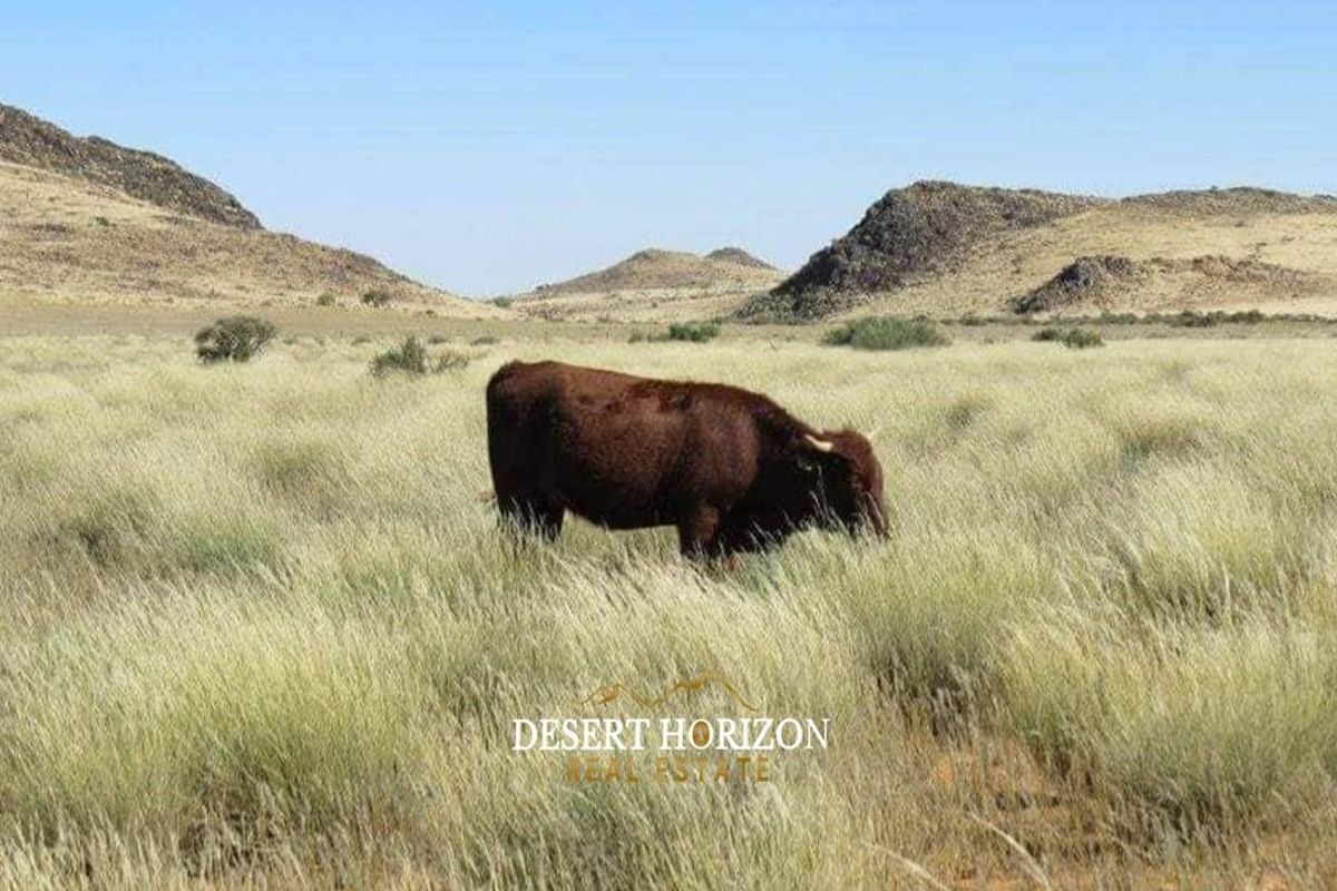 Karas Region, Noordoewer | South of Namibia , Farm for sale - Photo 5