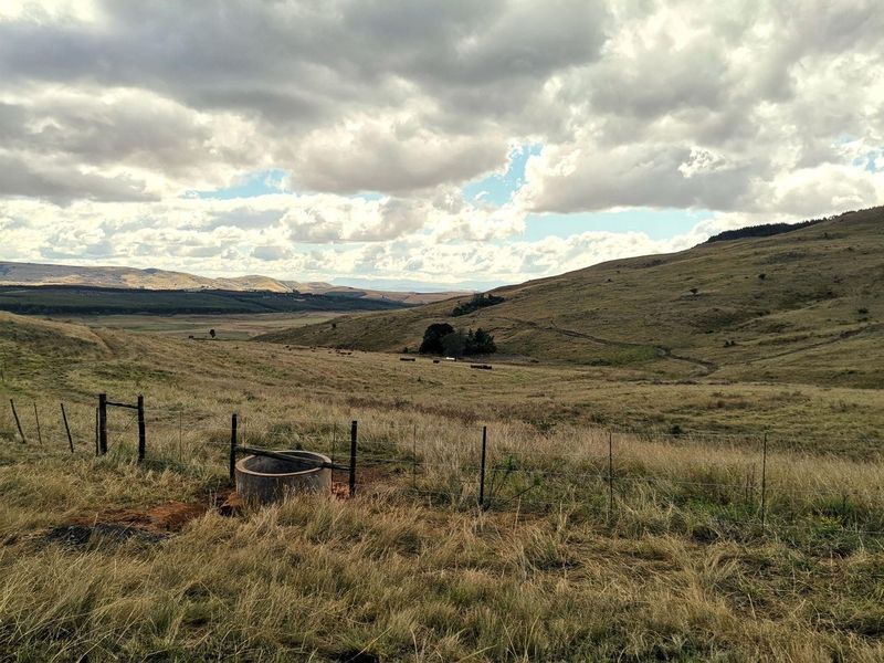 475Ha Multi-Use Farm for Sale – Donnybrook, KwaZulu-Natal - Photo 5