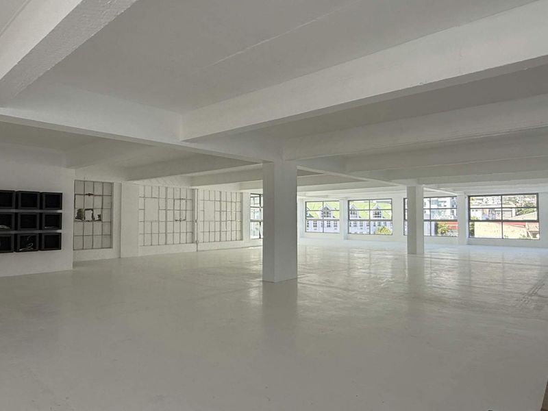 beautifully renovated entire 4th floor office to let in Gardens - Photo 5