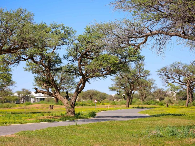 Omeya Golf & Lifestyle Estate – Phase 3 | Final Release - Photo 1