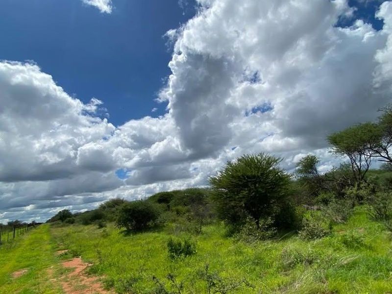 A Rare 1,268.25-Hectare Game Farm in the Hochfeld Area - Photo 3