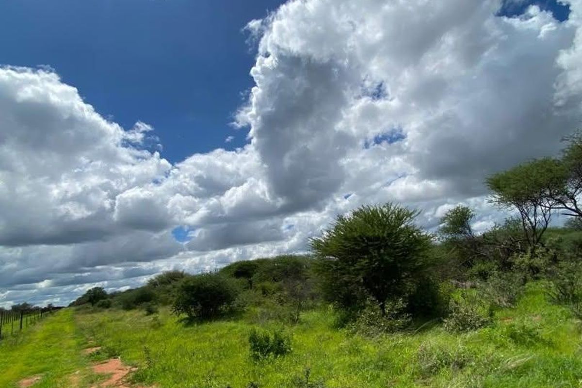 A Rare 1,268.25-Hectare Game Farm in the Hochfeld Area - Photo 3