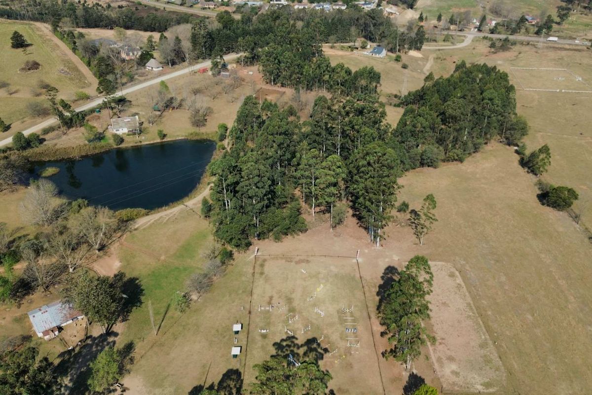 13.2ha Lifestyle Farm for Sale in Howick - Photo 5