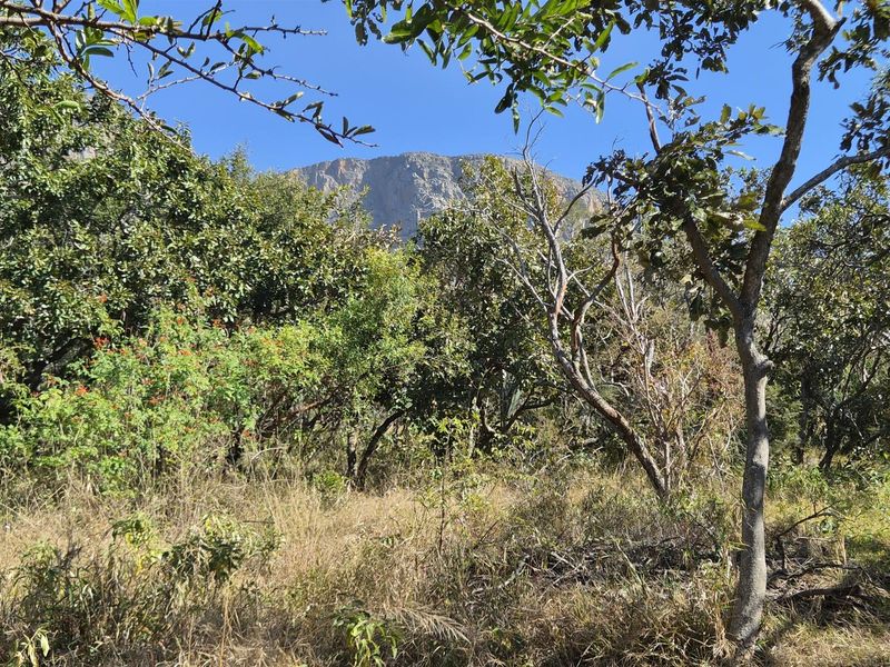 Elevated 2.3-Hectare Stand with Spectacular Drakensberg Views in Kampersrus - Photo 7