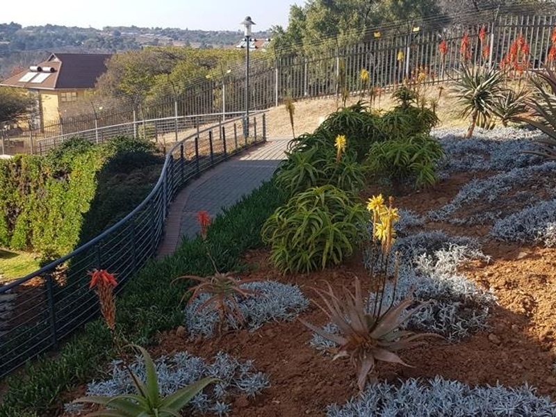 A well-maintained landscaped garden area featuring a paved walkway, metal security fencing, and established succulent plantings overlooking the property grounds.