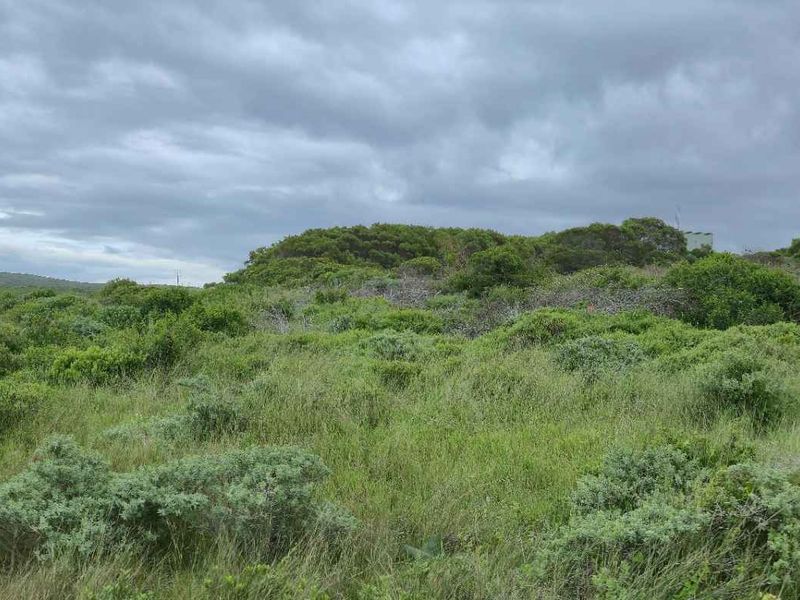 Mountain-View Stand in Popular Groenberg – Exceptional Coastal Investment - Photo 9
