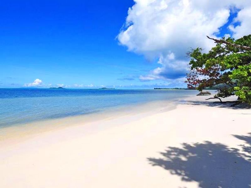 A scenic view of a pristine white sand beach with clear blue ocean waters and natural coastal vegetation.