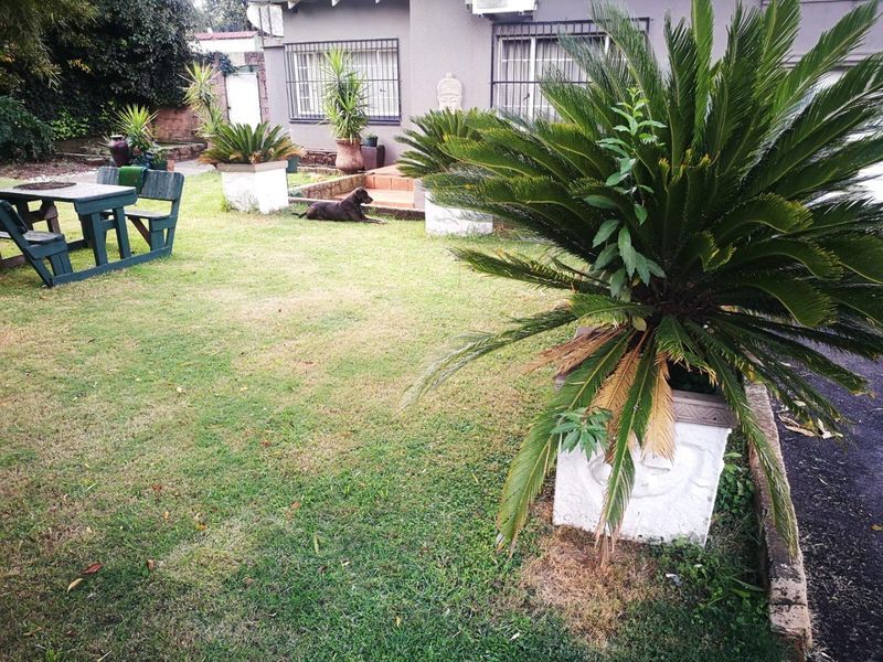 Spacious Family Home to Rent - Photo 2