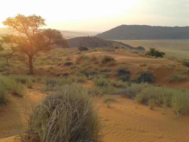 FOR SALE- IDEAL FOR SPECIAL TOURIST LODGE -FARM IN SOLITAIRE, NAMIBIA - Photo 4