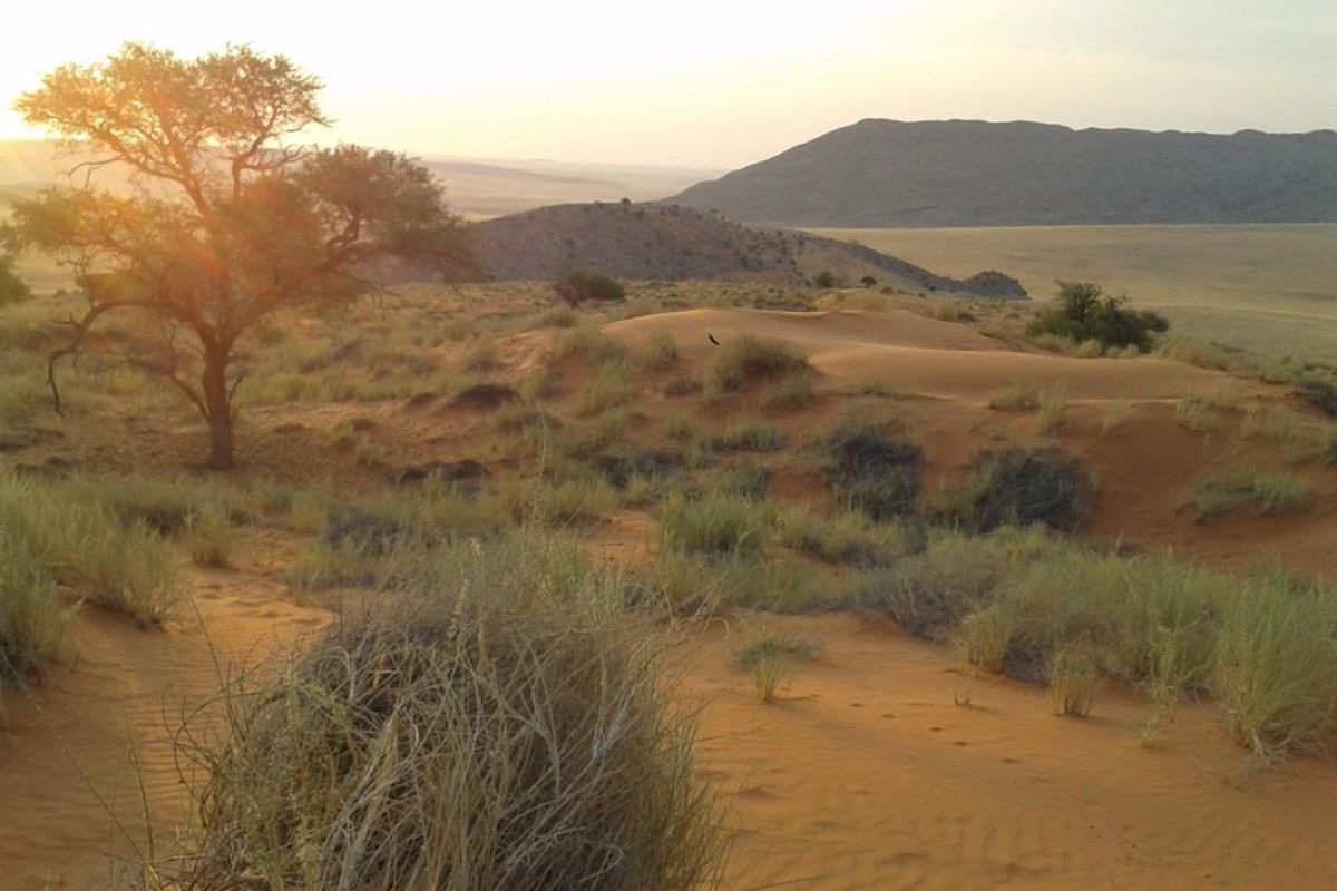 FOR SALE- IDEAL FOR SPECIAL TOURIST LODGE -FARM IN SOLITAIRE, NAMIBIA - Photo 4