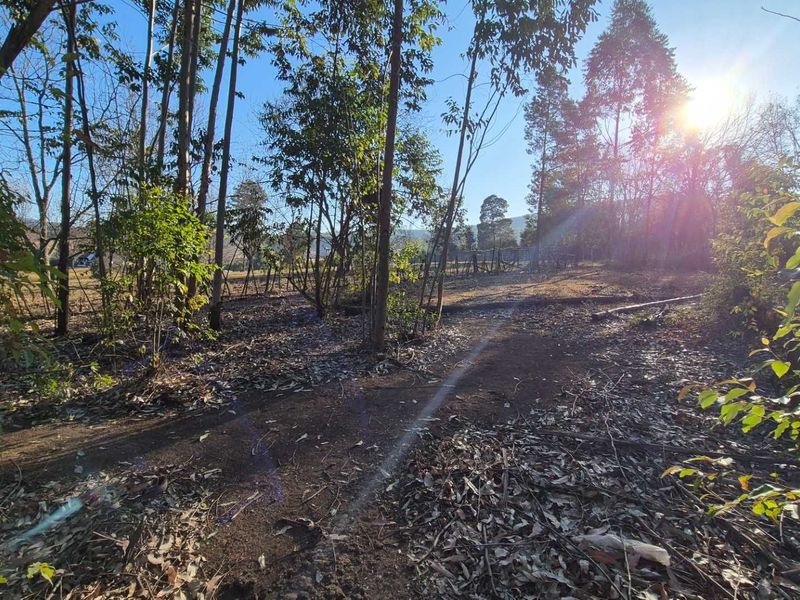 Rural Tranquility with Equestrian Charm at The Grange, Howick Rural - Photo 9