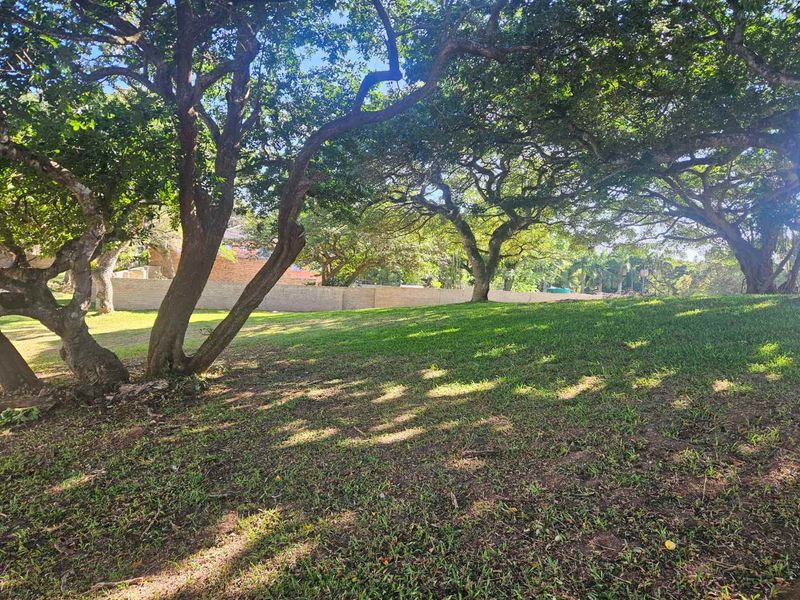 Build Your Tropical Masterpiece in St Lucia 🌿 - Photo 2