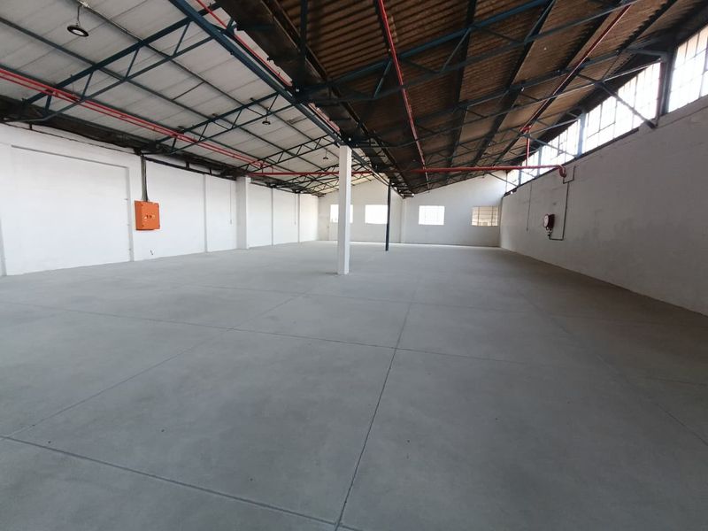 Spacious industrial warehouse unit featuring high ceilings with exposed steel trusses, concrete flooring, and integrated fire sprinkler system.