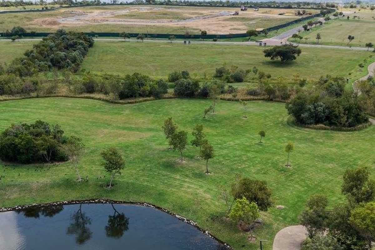 Exclusive Lake-Facing Stand in the Woods | Overlooking Expansive Parklands - Photo 3