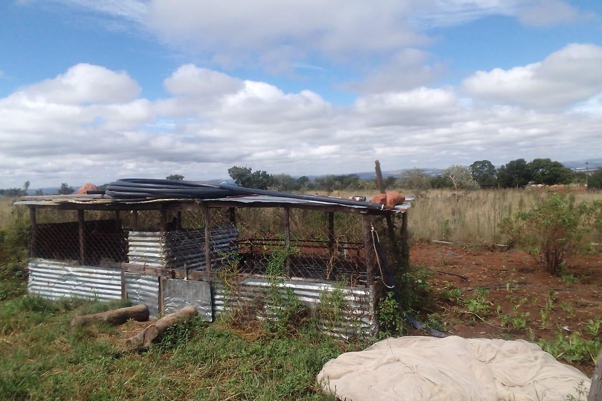 Land/farm up for sale - Photo 3