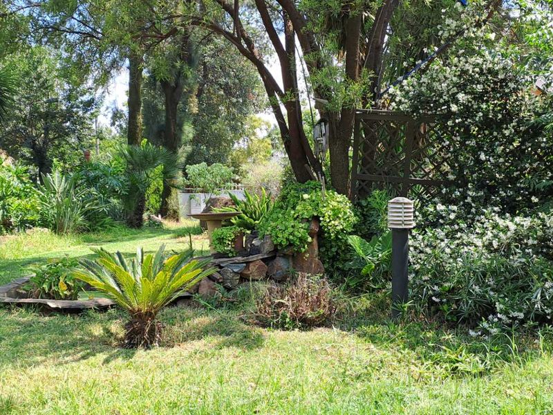 Everything you want.. - Photo 5