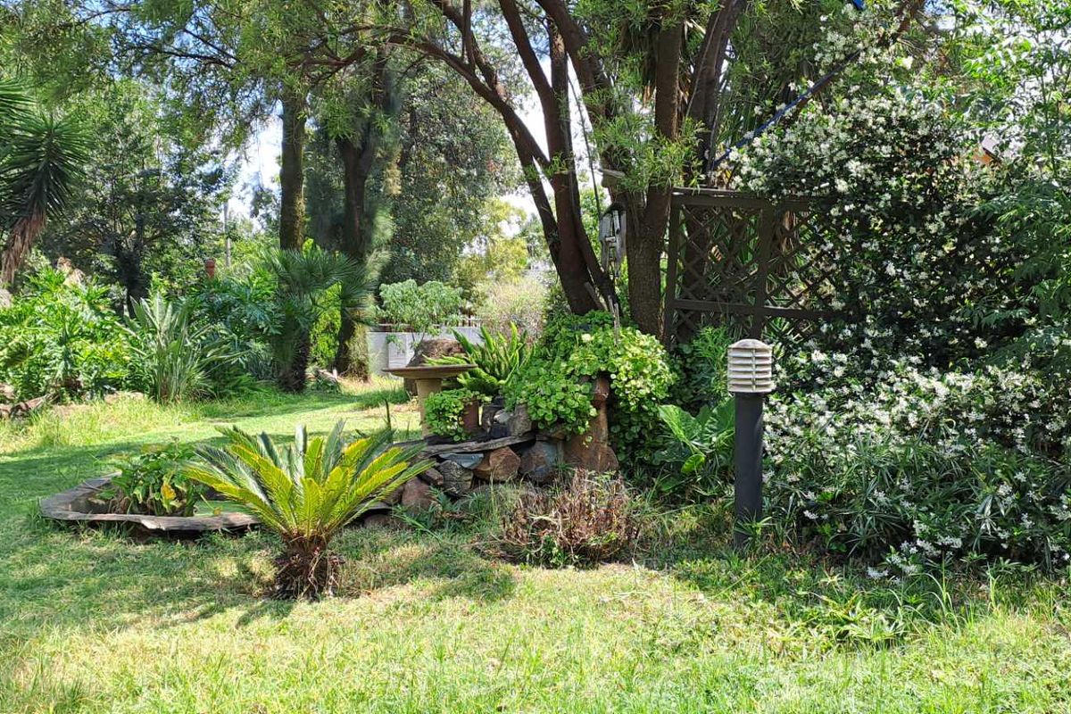 Everything you want.. - Photo 5