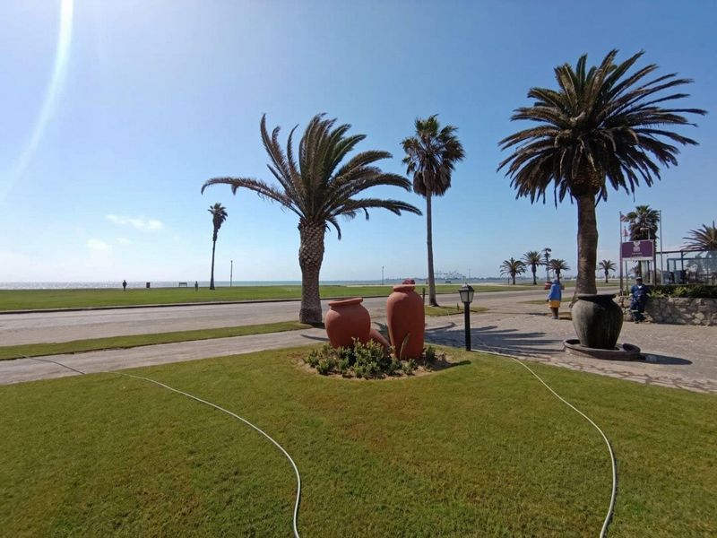 A scenic view of the coastal landscape featuring manicured lawns, mature palm trees, and a paved walkway overlooking the ocean.