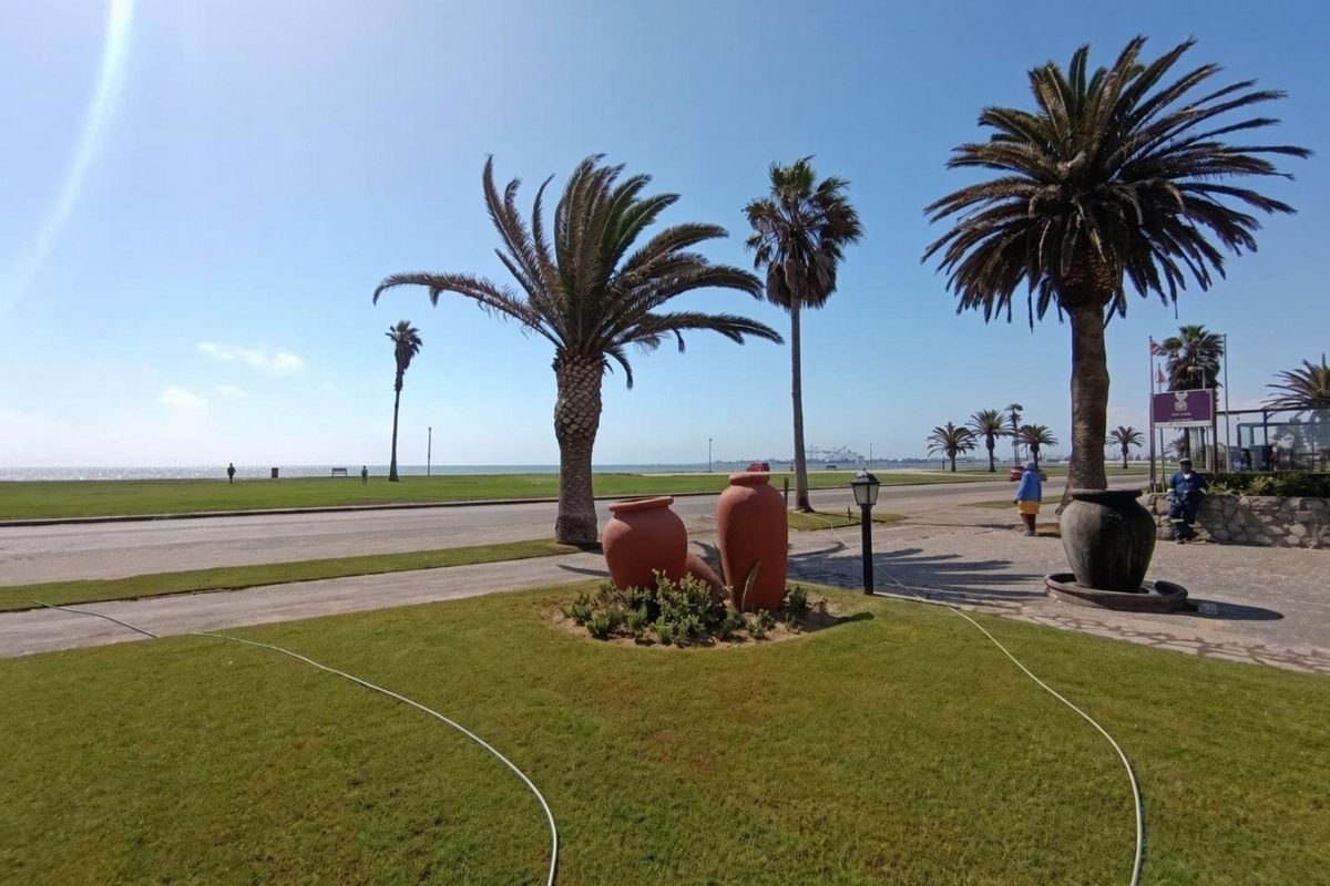 A scenic view of the coastal landscape featuring manicured lawns, mature palm trees, and a paved walkway overlooking the ocean.