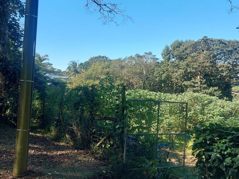 Stunning Vacant Land in Prime Hillcrest Location - Photo 5